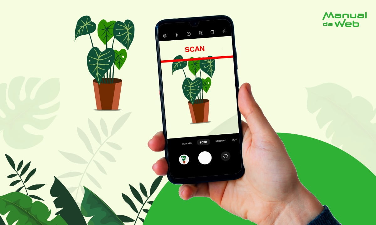 Aplicativo para identificar o nome e a especie de plantas pelo celular Prancheta 1