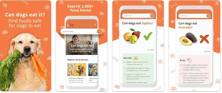 Alimentação natural para cães