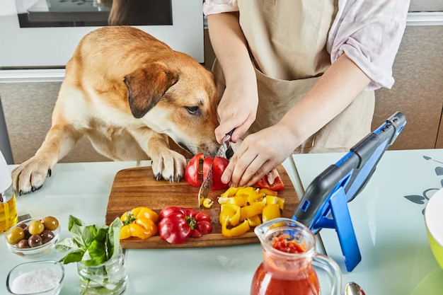 Alimentação natural para cães