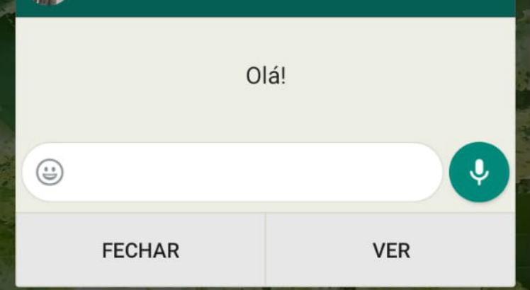 Como usar o aplicativo do WhatsApp sem aparecer online 4 WhatsApp sem aparecer online