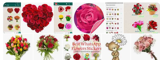 adesivi floreali per WhatsApp