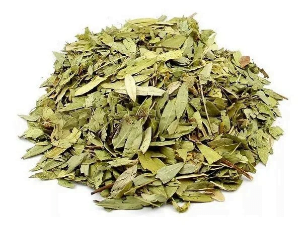 Chá de sene