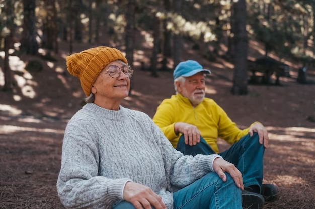 Meditação diária