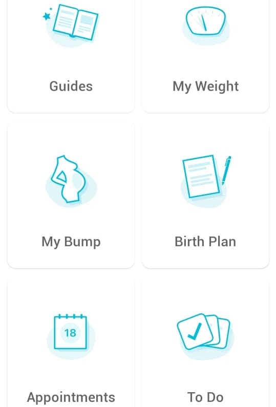 App Pregnancy Companion: Traccia la gravidanza sul tuo telefono 2 App Companion per la gravidanza