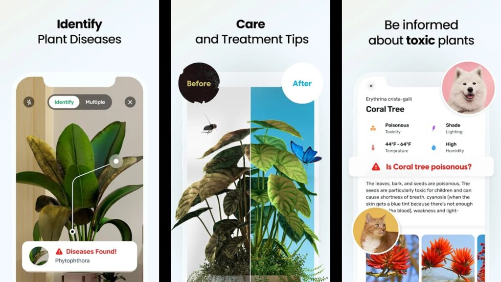 Grüner Daumen-Führer: Gartenarbeit lernen mit diesen Top-Apps! 1 Gärtnern lernen