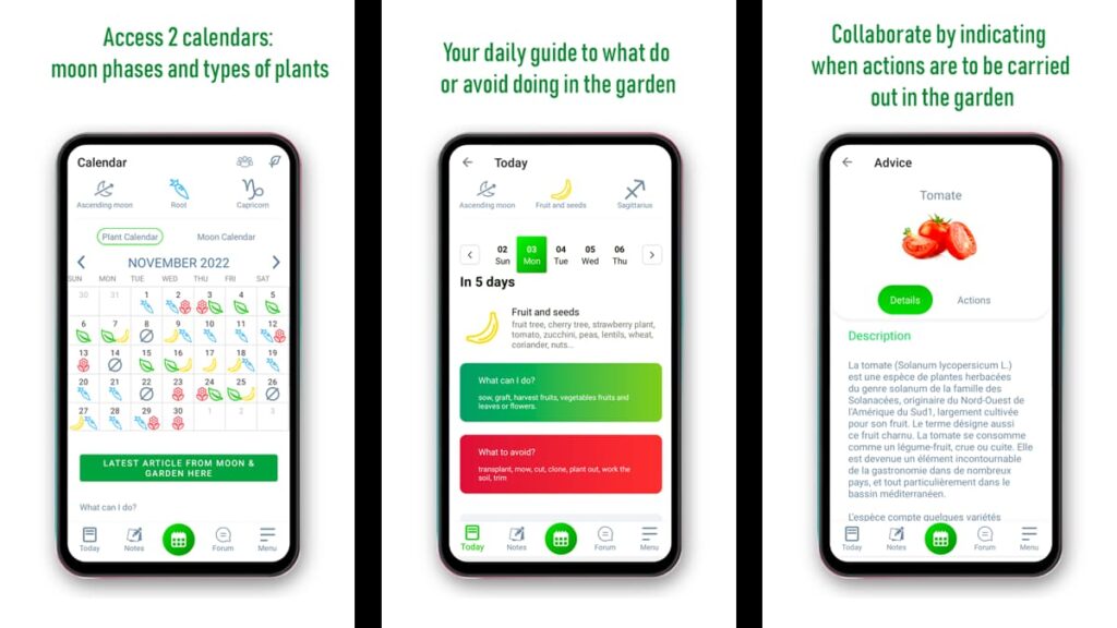 Ratgeber Grüner Daumen: Gartenarbeit lernen mit diesen Top-Apps! 5 Gärtnern lernen