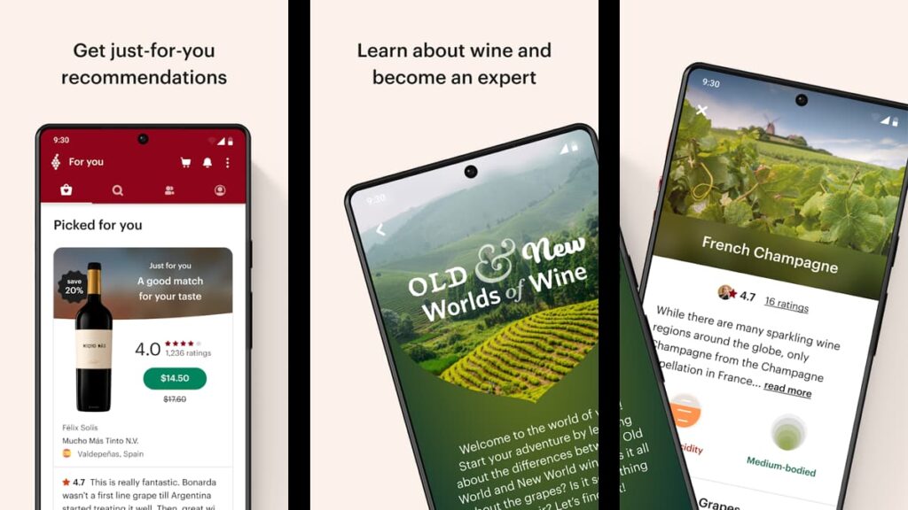 learn about wine
