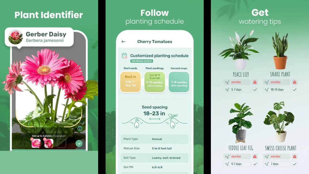 Blossom-App