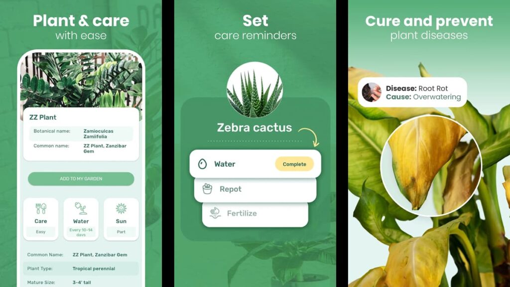 Blossom-App