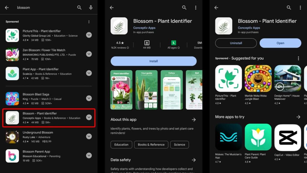 Blossom-App