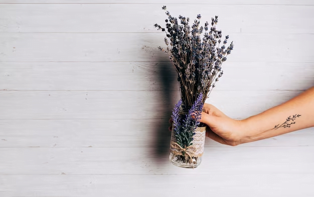 Lavanda planta