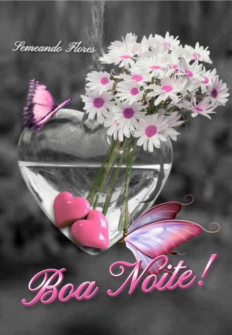 boa noite com flores