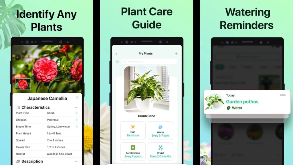 Die besten Apps für Gartenarbeit und Pflanzenidentifizierung 1 Die wichtigsten Apps für Gartenarbeit und Pflanzenbestimmung