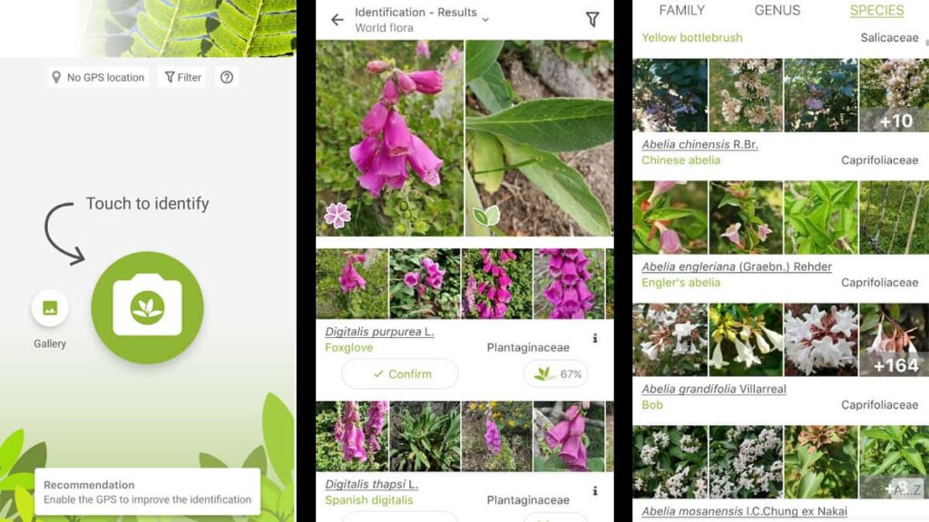 Die besten Apps für Gartenarbeit und Pflanzenidentifizierung 3 Die wichtigsten Apps für Gartenarbeit und Pflanzenbestimmung