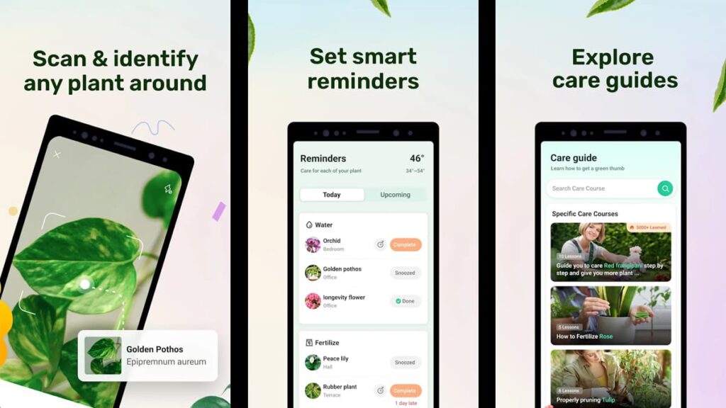 Die besten Apps für Gartenarbeit und Pflanzenidentifizierung 5 Die wichtigsten Apps für Gartenarbeit und Pflanzenbestimmung