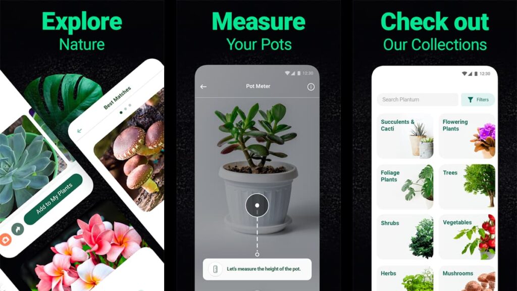 Die besten Apps für Gartenarbeit und Pflanzenidentifizierung 7 Die wichtigsten Apps für Gartenarbeit und Pflanzenbestimmung