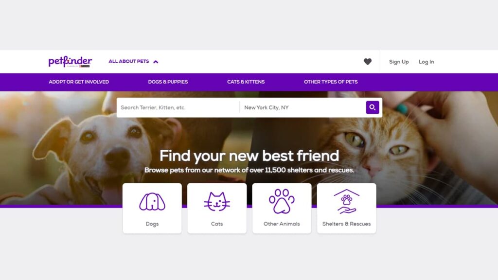 animal adoption
