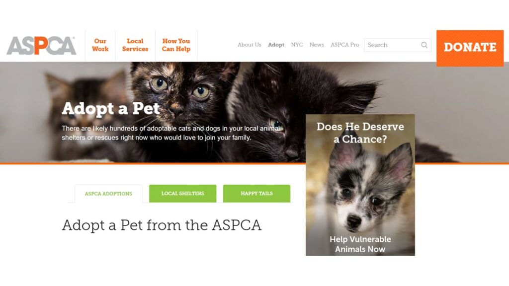 animal adoption
