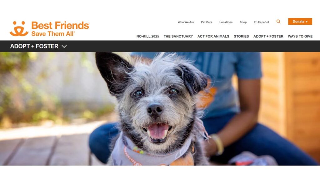 animal adoption