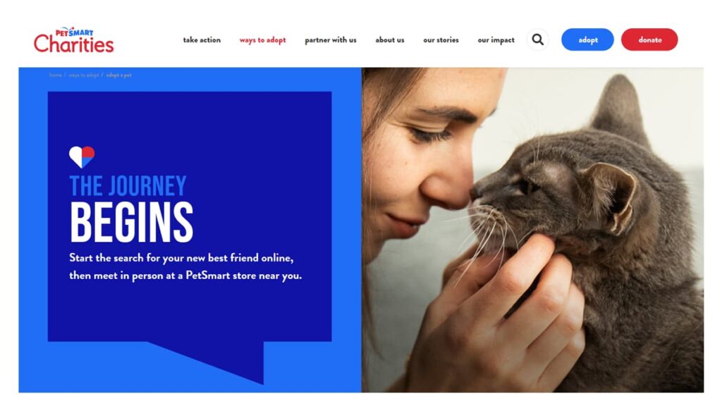 animal adoption