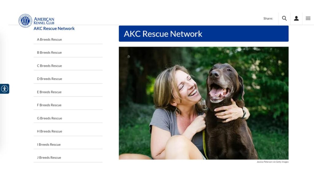animal adoption