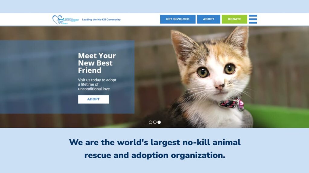 animal adoption