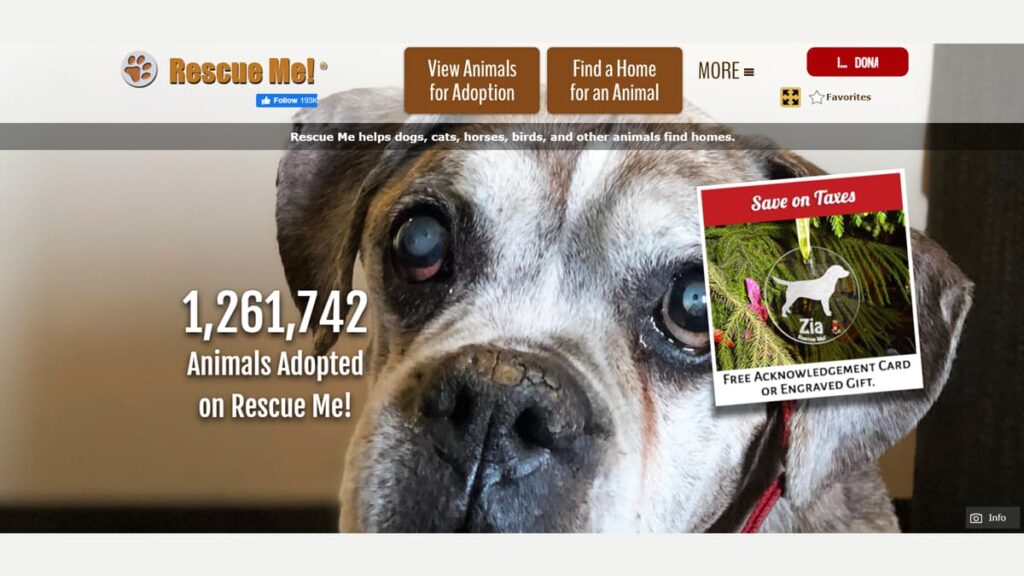 animal adoption