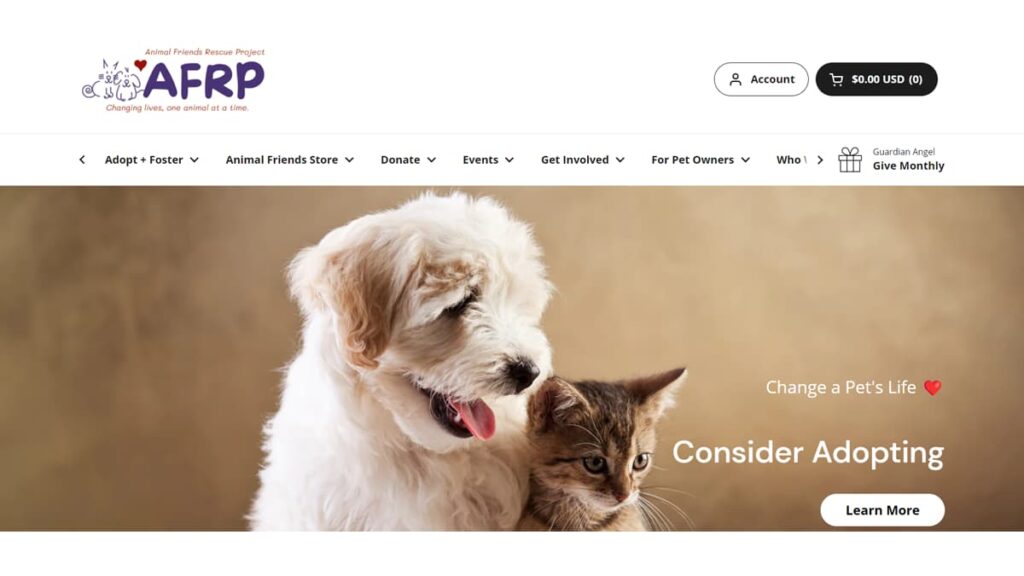 animal adoption