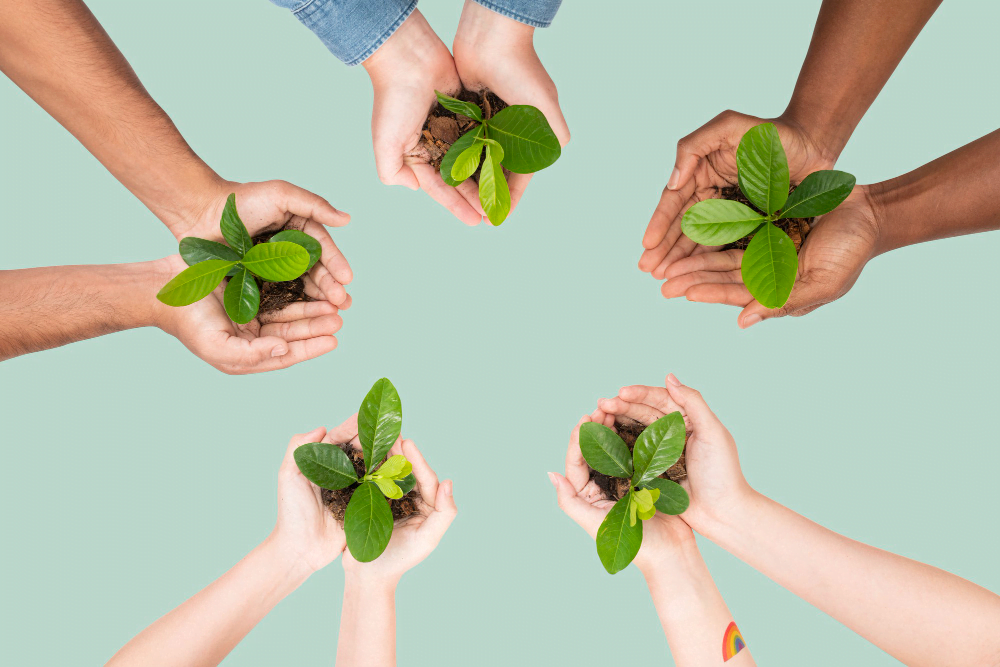 Curso gratuito de educação ambiental