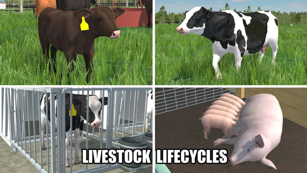 Gioco dell'agricoltura americana