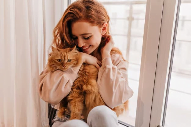 Aplicativo tradutor de humano para gato: conheça e baixe 4 Tradutor humano para gato