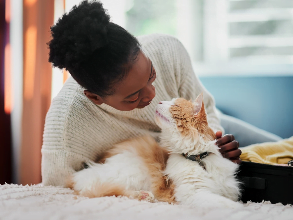Aplicativo tradutor de humano para gato: conheça e baixe 5 Tradutor humano para gato