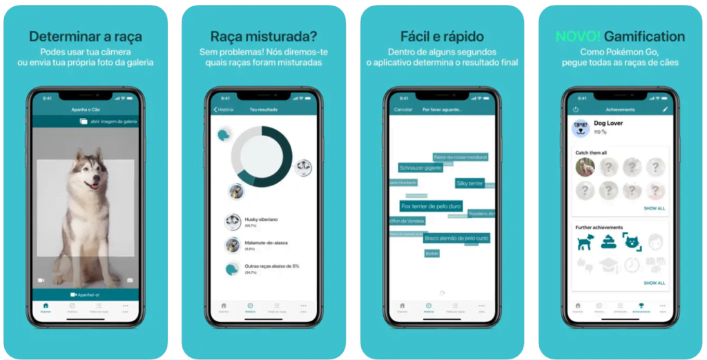 Aplicativo para descobrir raça de cachorro 