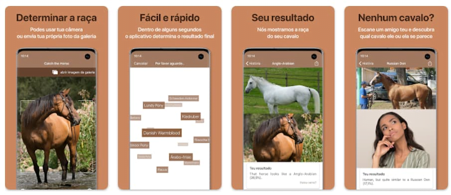 Aplicativo para descobrir a raça detalhada de qualquer cavalo com uma foto 2 Aplicativo para identificar raça de cavalo