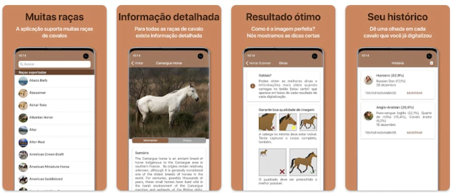 Aplicativo para descobrir a raça detalhada de qualquer cavalo com uma foto 3 Aplicativo para identificar raça de cavalo