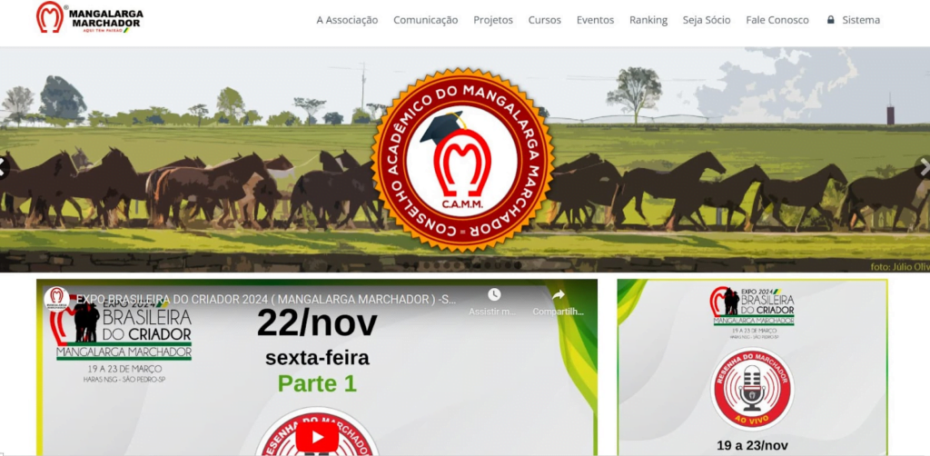 Aplicativo para descobrir a raça detalhada de qualquer cavalo com uma foto 6 Aplicativo para identificar raça de cavalo