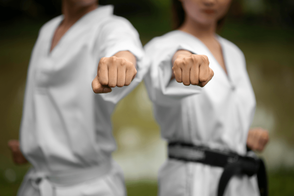 Aplicativo para aprender taekwondo
