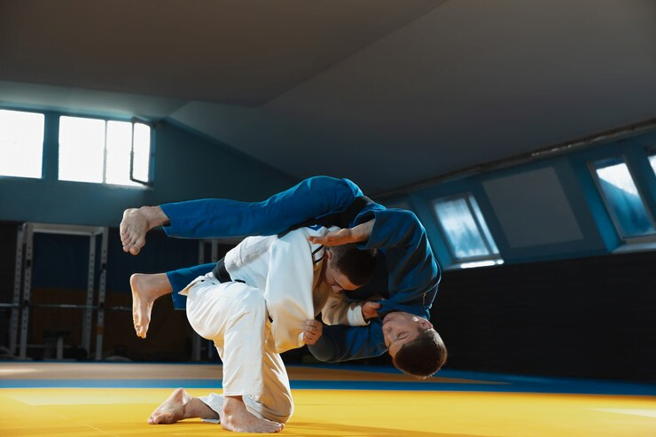 Aplicativo para aprender lutar Judô: resultados rápidos 2 Aplicativo para aprender lutar Judô