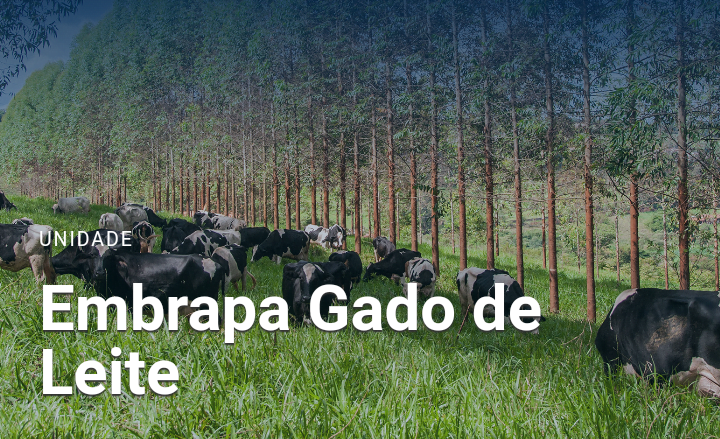Cursos para produtores de leite