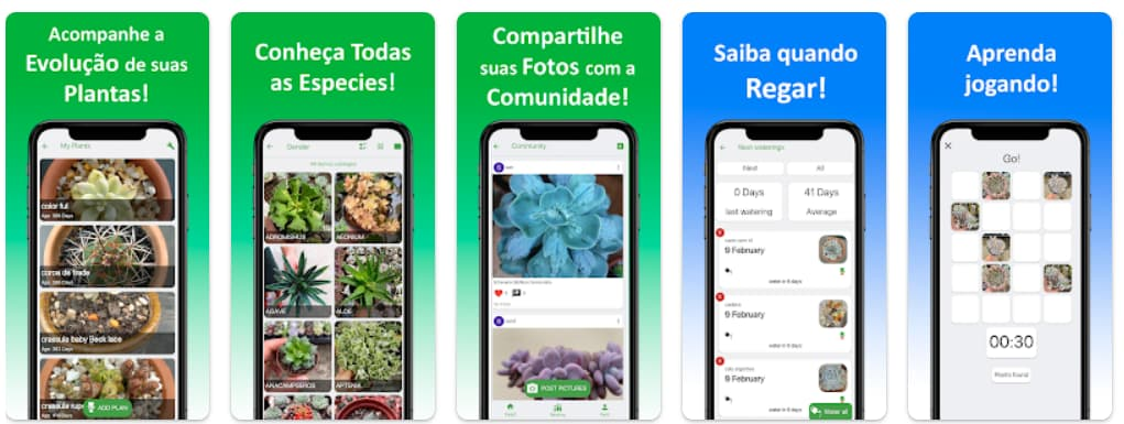 Acompanhar evolução suculenta