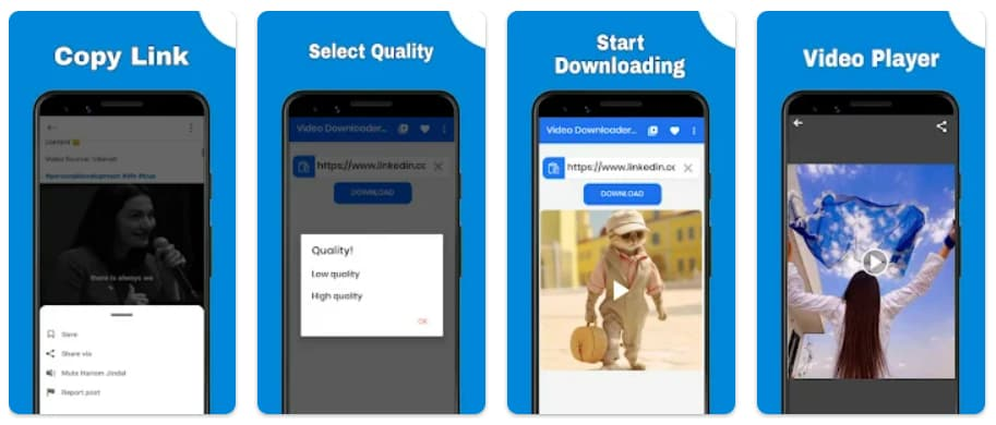 Ferramenta gratuita para baixar vídeo do LinkedIn rapidamente 2 Baixar vídeo LinkedIn