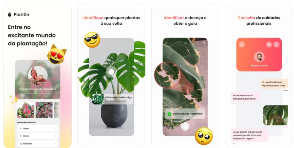 PlantIn: aplicativo para identificar plantas por foto no celular 2 Aplicativo para identificar plantas