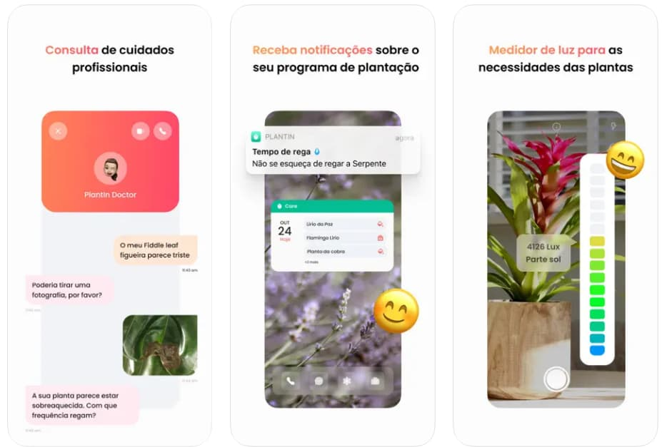 PlantIn: aplicativo para identificar plantas por foto no celular 3 Aplicativo para identificar plantas