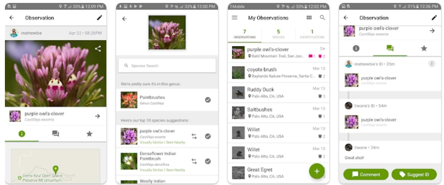 PlantIn: aplicativo para identificar plantas por foto no celular 8 Aplicativo para identificar plantas
