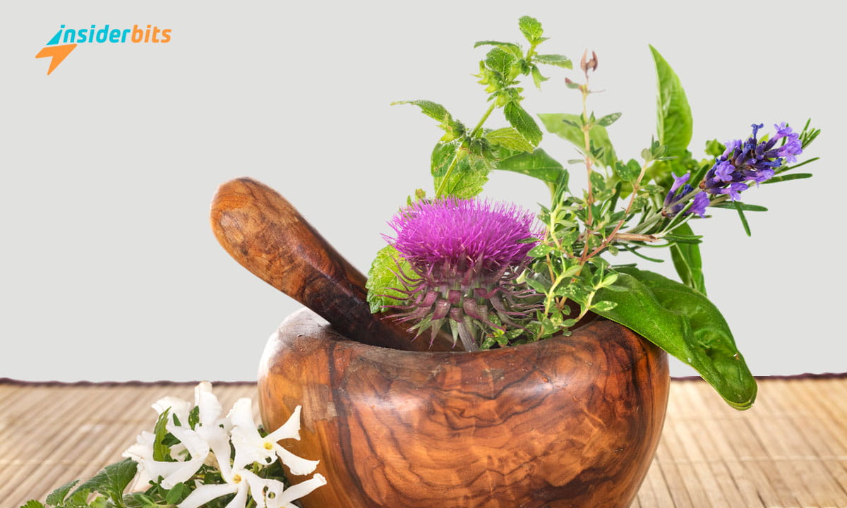 Free Online Herbalist Courses 2 Free Online Herbalist Courses