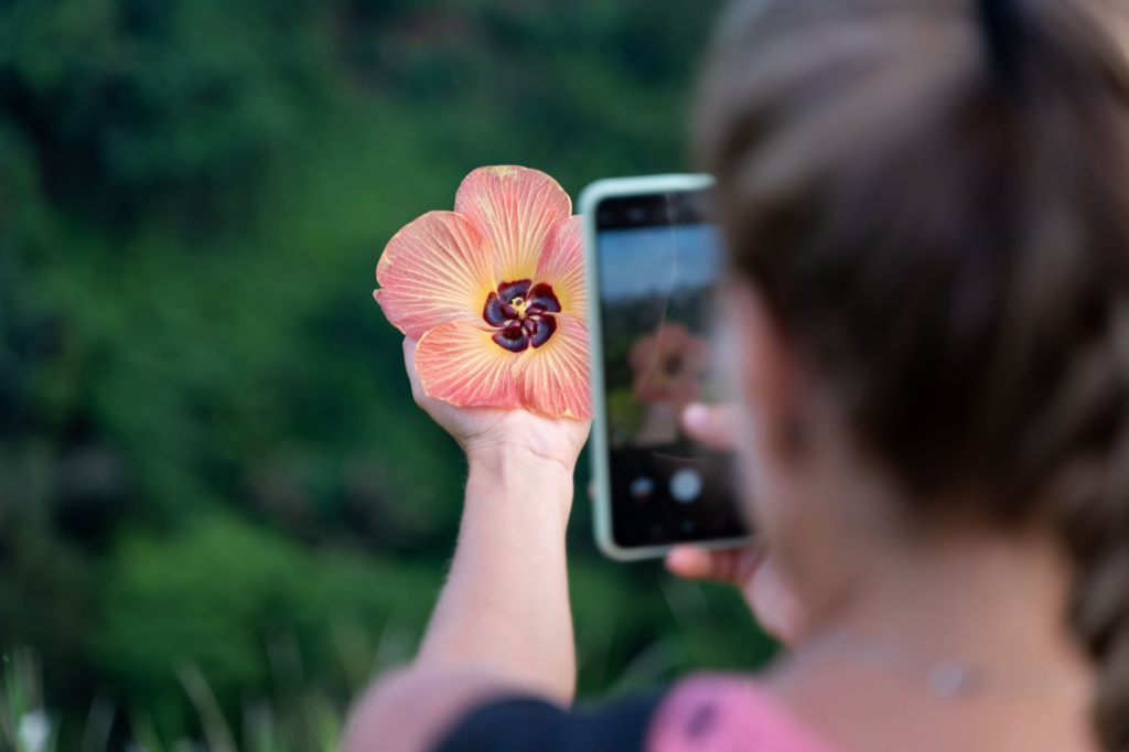 Como recuperar fotos apagadas