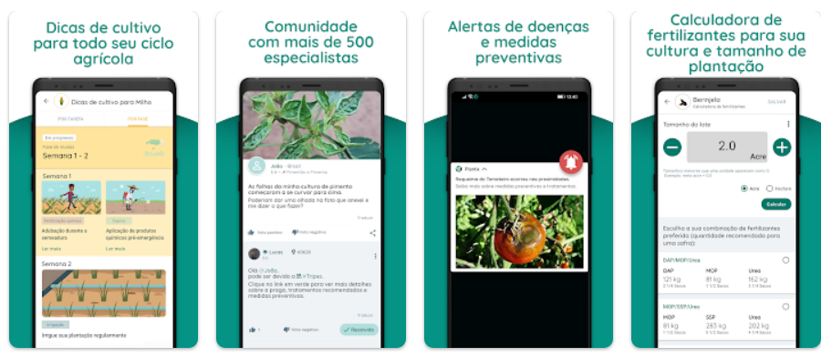 Plantix: app para identificar doenças em plantas grátis 4 App para identificar doenças em plantas grátis