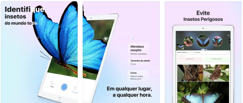 Identificar insetos