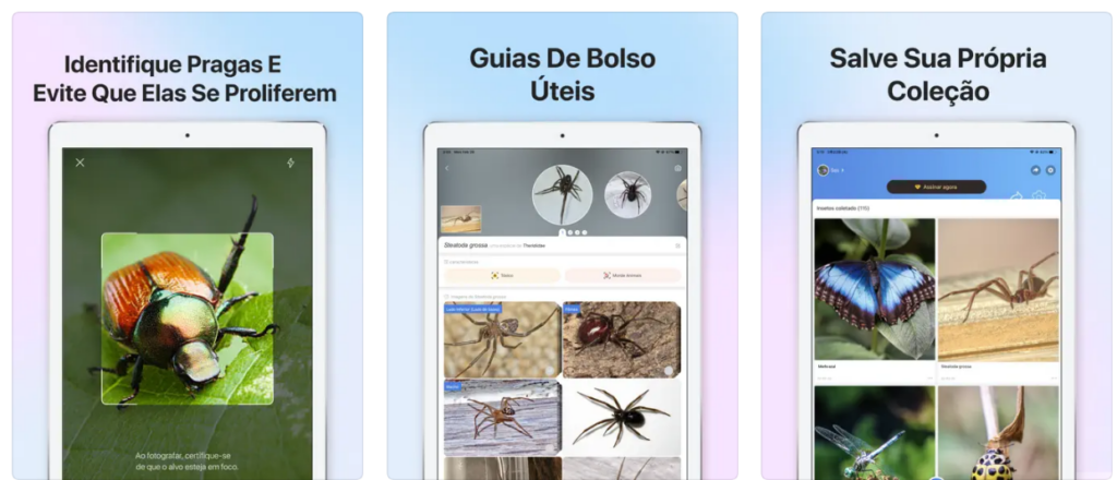 Identificar insetos