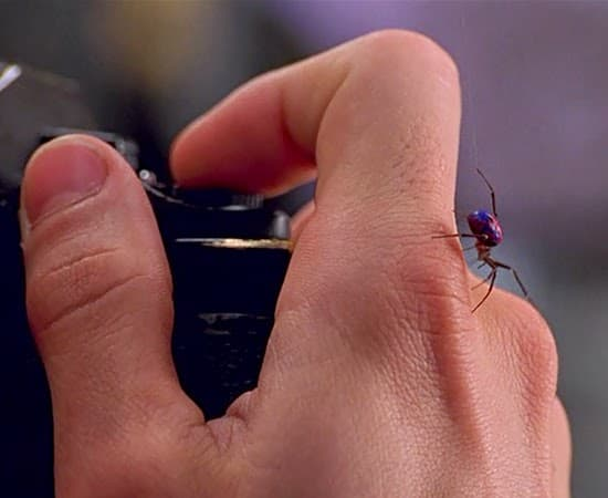 História do Homem-Aranha